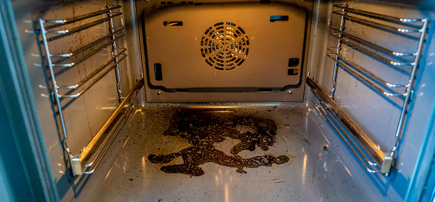 Our Dryer Vent Mold Cleaning Services in Burlington, VT