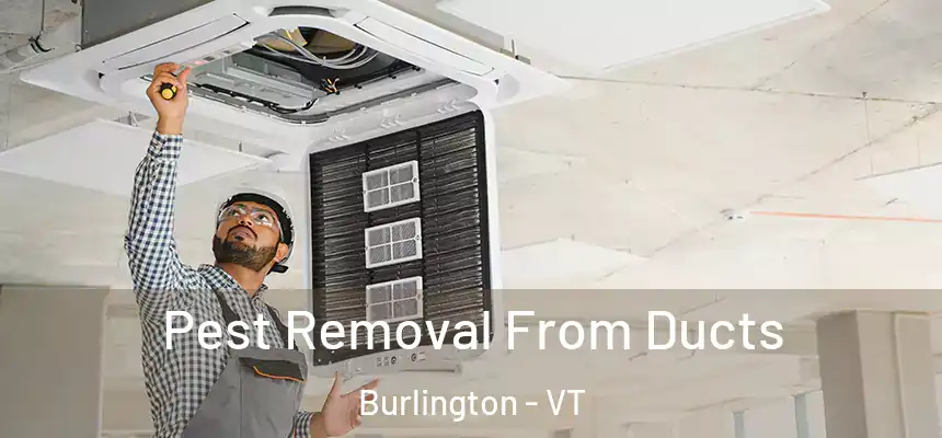  Pest Removal From Ducts Burlington - VT
