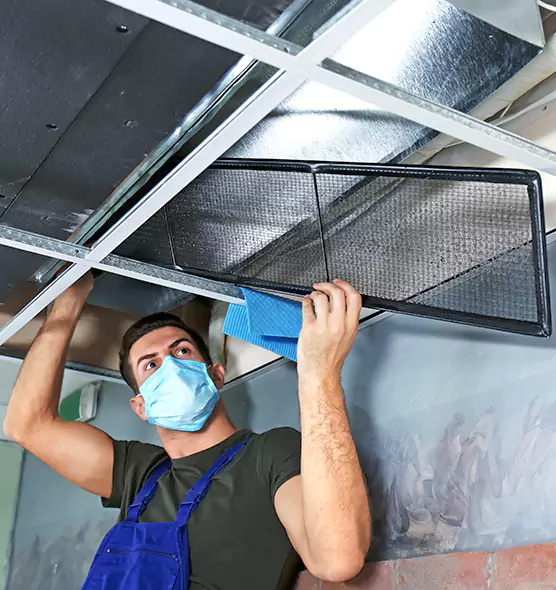 About Air Duct Bacteria Removal in Burlington