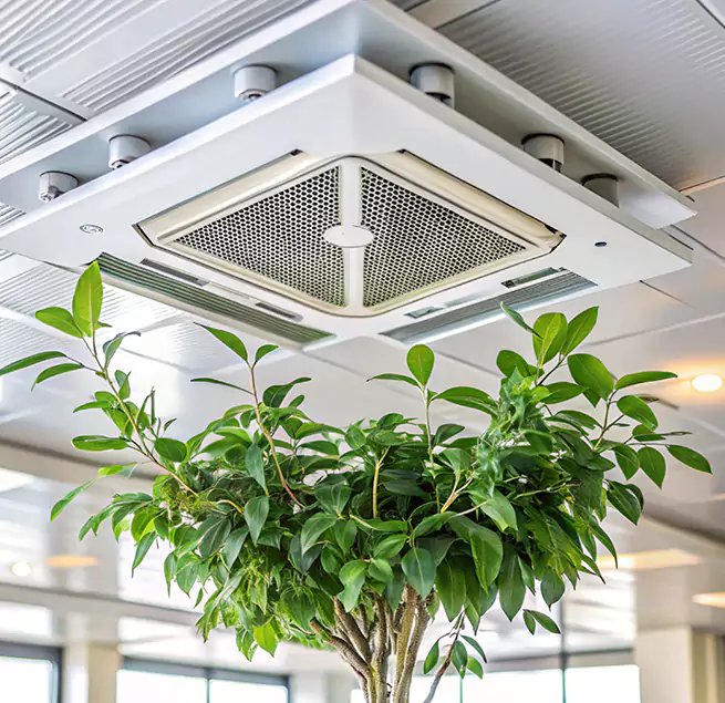 Why Homeowners & Businesses Trust Us in Burlington, VT