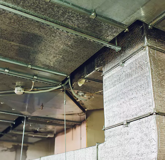 Why Homeowners & Businesses Trust Us in Burlington, VT?